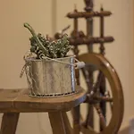 Haus Gant 아파트 상트갈렌키르흐