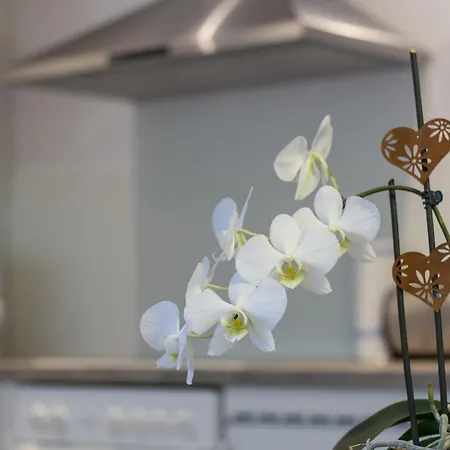 Haus Gant Sankt Gallenkirch