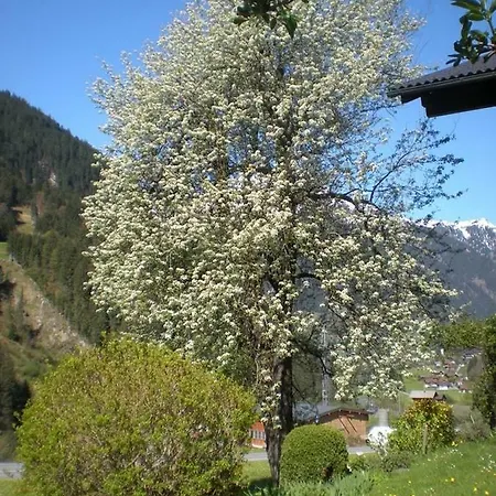 Daire Haus Gant Sankt Gallenkirch